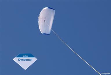 DSM Dyneema