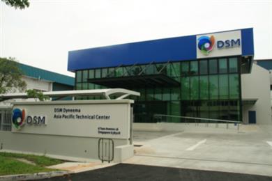 DSM Dyneema