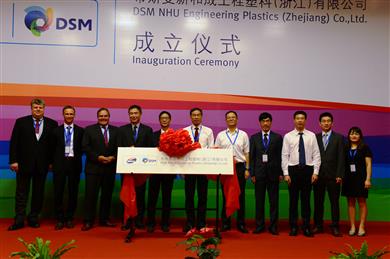 DSM Engineering Plastics