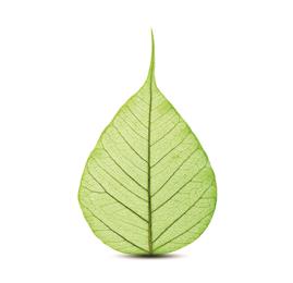 SABIC推出NORYL™所有牌号树脂的生物基版本­，进一步推动塑料的循环经济发展