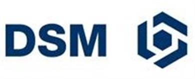 DSM Composite Resins