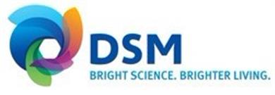 DSM Engineering Plastics