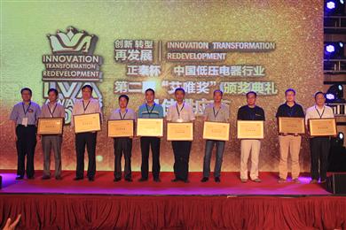 DSM Engineering Plastics