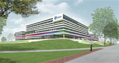 DSM Engineering Plastics