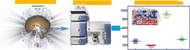 Thermo Fisher
