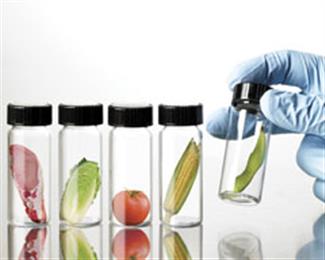 Thermo Fisher
